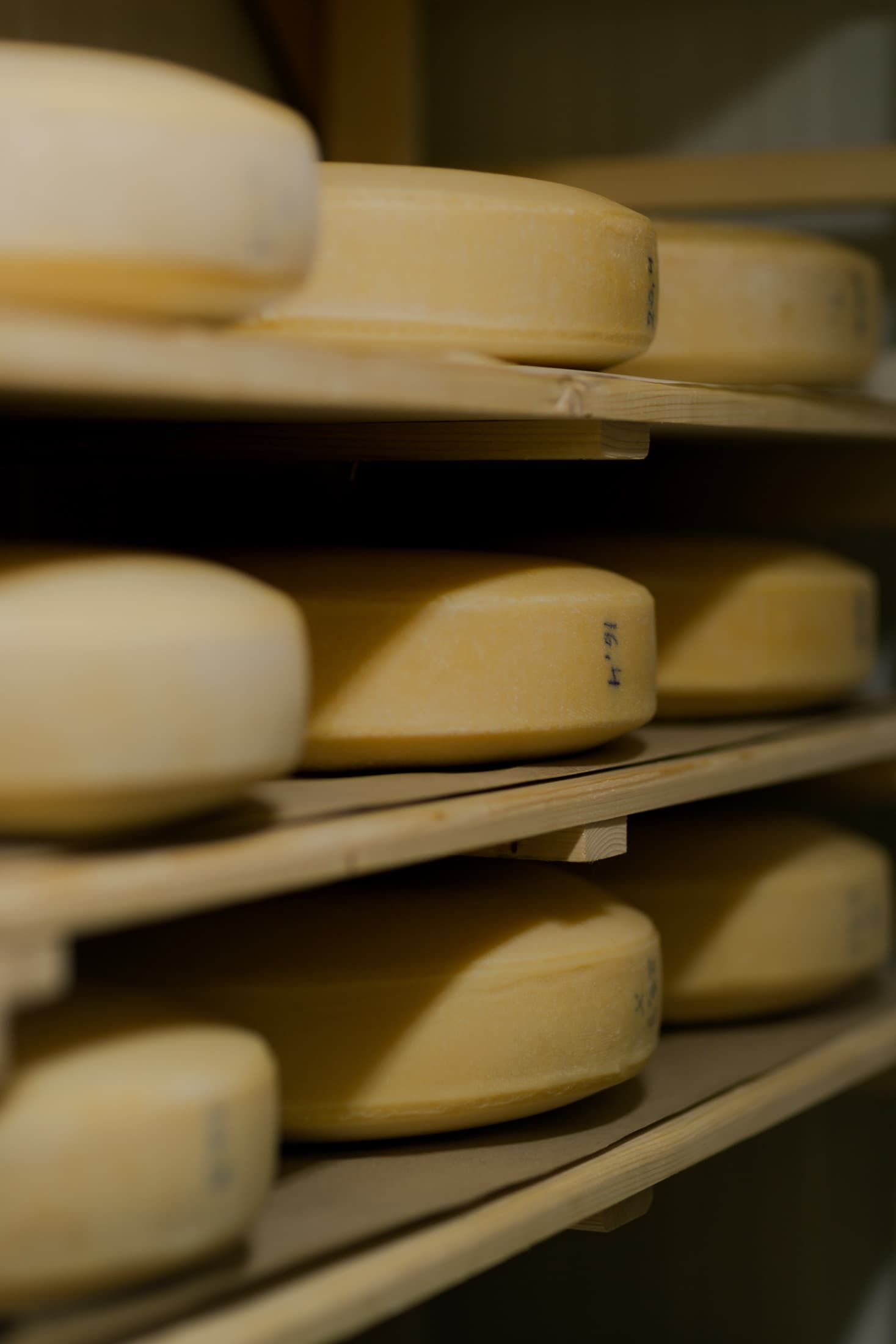 Dairy products made and matured locally