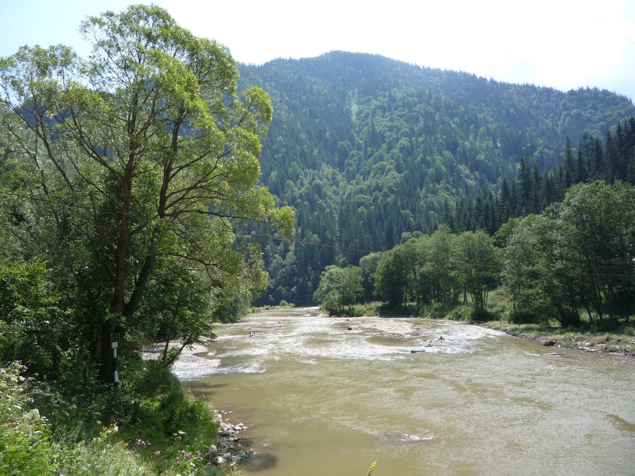 A river running between forests and mountains near Vatra Dornei.