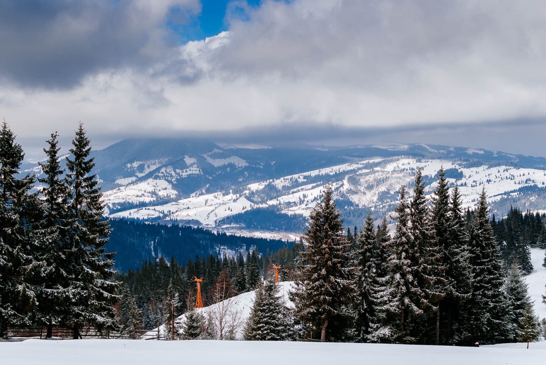 Winter landscape with conifer forests and mountains in the Oușoru area.